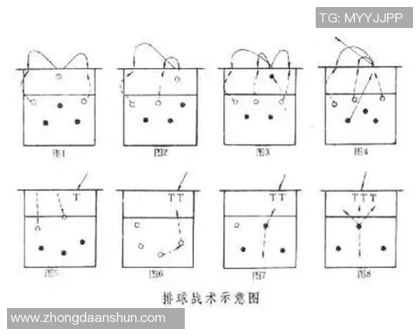 北京排球队反击体系解析：战术运用与实战效果探讨